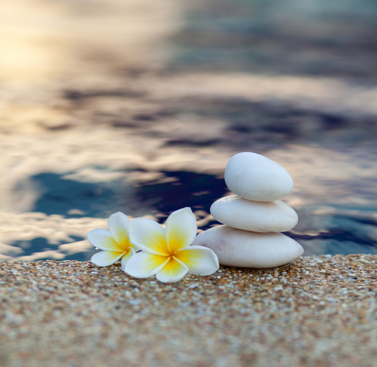 Plumeria flower and stones