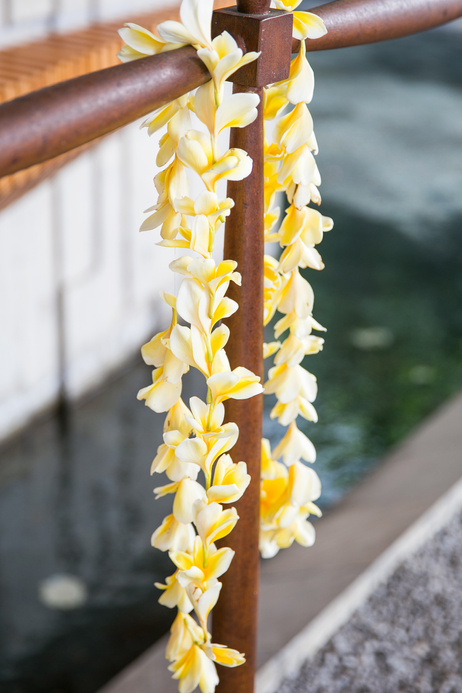 Frangipani lei